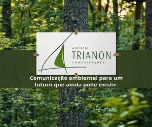 https://agenciatrianon.blogspot.com/