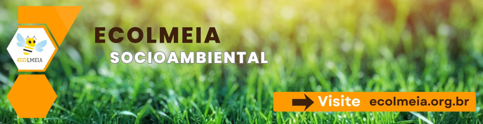 https://ecolmeia.org.br/
