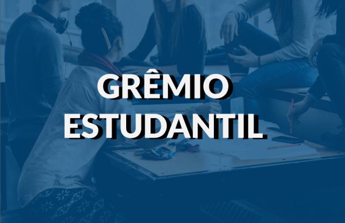 O protagonismo juvenil nas escolas e a influência do Grêmio Estudantil