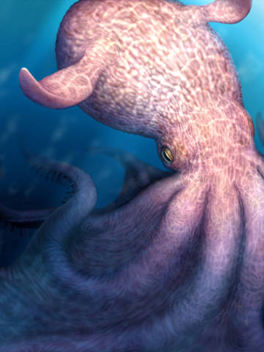 Titãs das Profundezas: Cientistas Identificam Polvos Gigantes de 19 Metros que Habitavam o Período Cretáceo