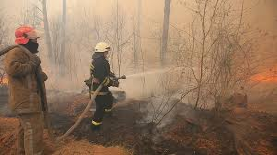 Incêndio florestal perto de Chernobyl gera temor de liberação de radiação