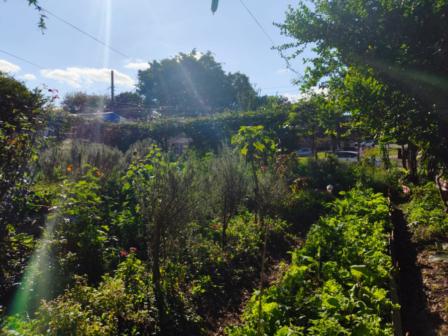 Horta das Nações une agrofloresta urbana, ciência e economia solidária