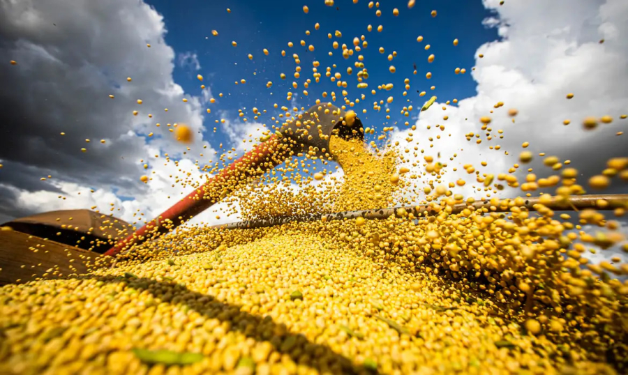  Produção agrícola brasileira superou R$ 927 bilhões em 2025 